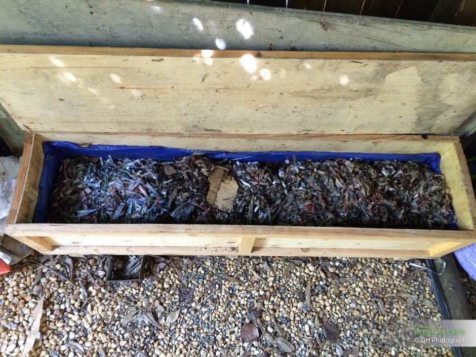 Diy Worm Composting Bin Wood Worm Compost Bins / A friend of mine